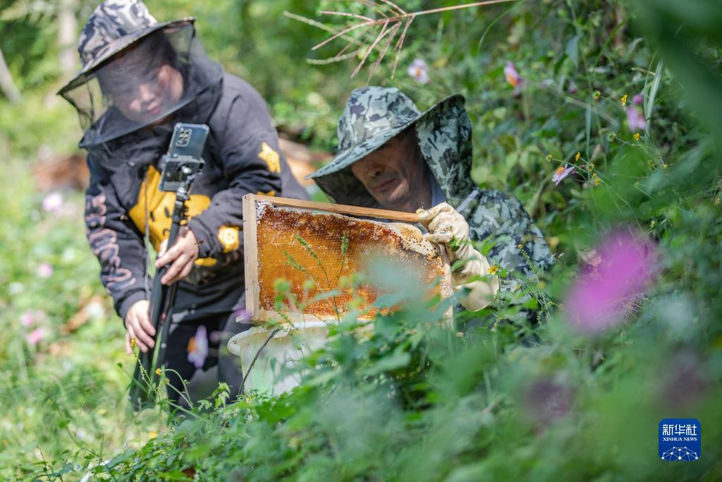 大奖网触屏版登录